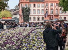 Herbstfest am Schillerplatz Mainz