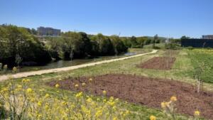 Barrierefreie führung im oppenheimer kellerlabyrinth 1