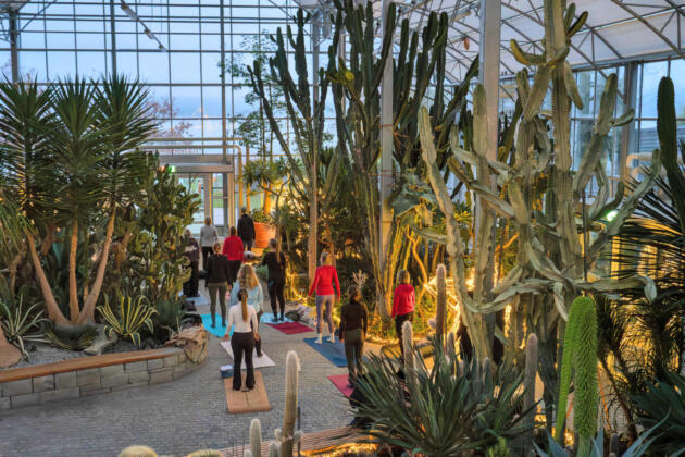 Winterzauber, genuss und wellness am bodensee 3