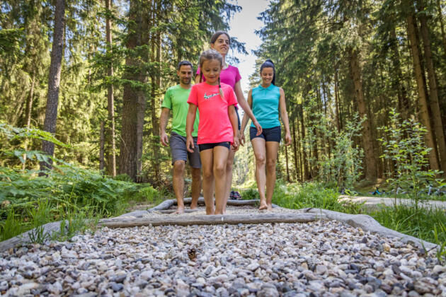 Entdeckungsreisen zwischen wasserwelten und erlebnisholzkugel 3